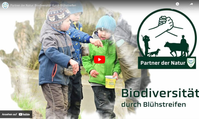 Video_Tag-der-Artenvielfalt